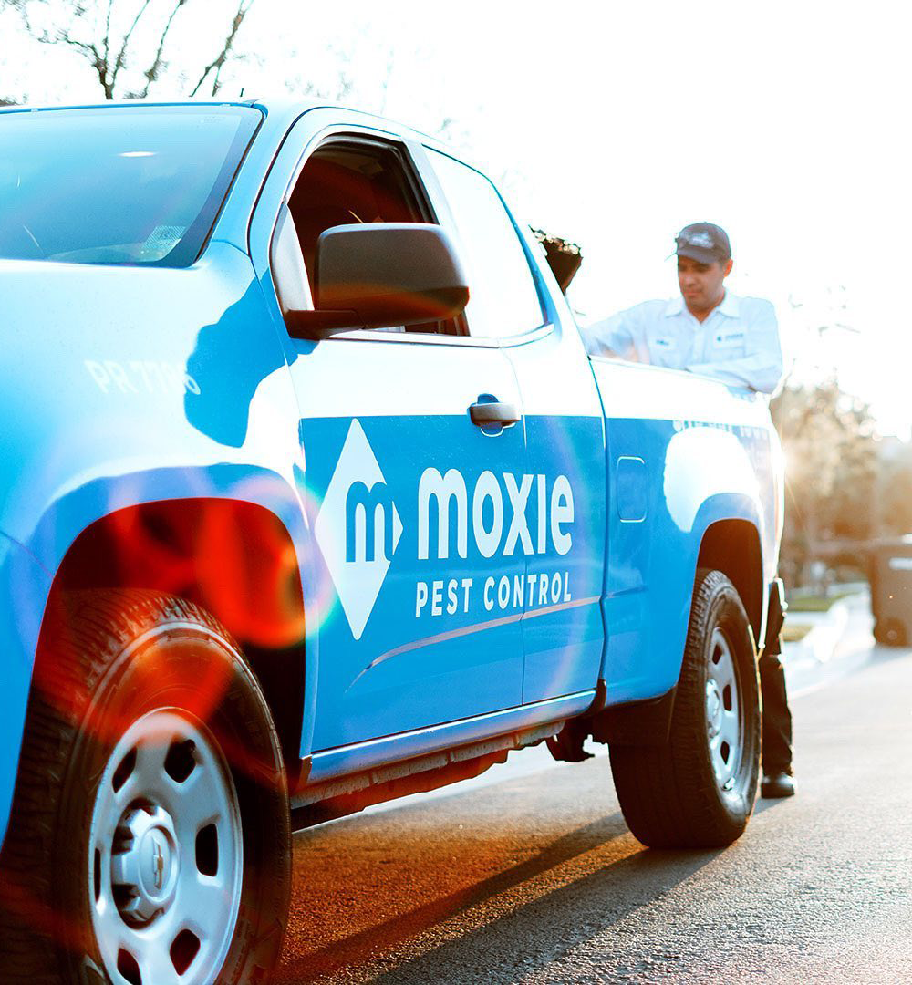 MoxieTruckSway